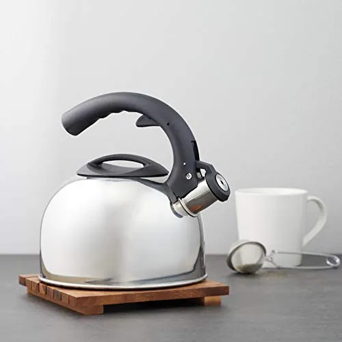 Amazon Basics Stainless Steel Tea Kettle, 2.4-Quart, Teal