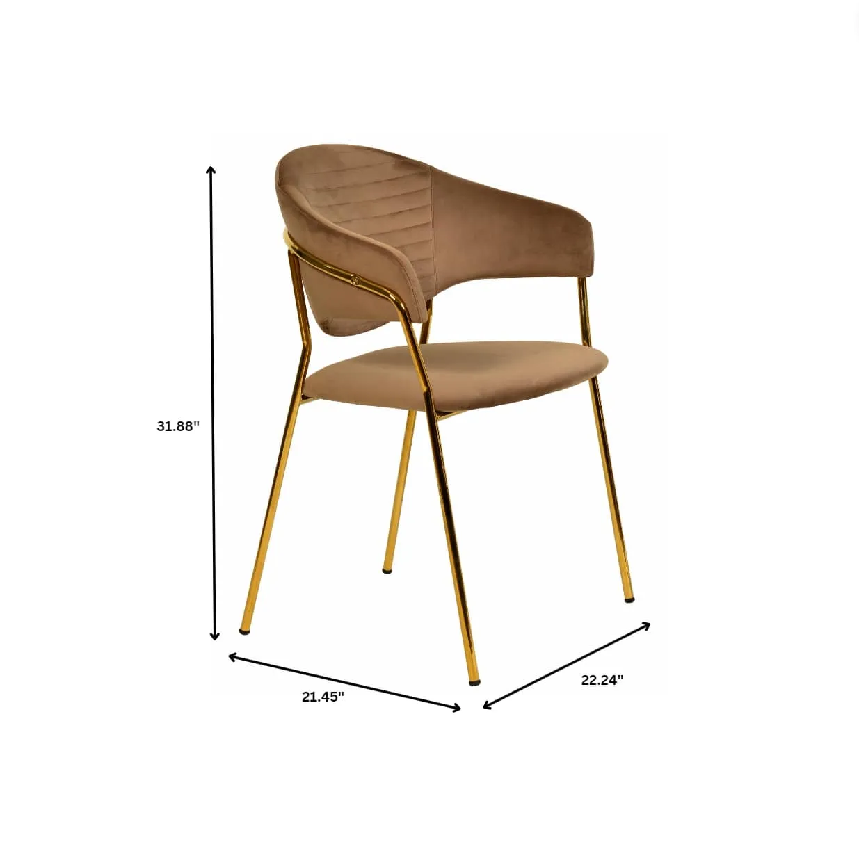 Bella Modern Dining Chair Upholstered in Leather With Stainless Steel Base Set of 2