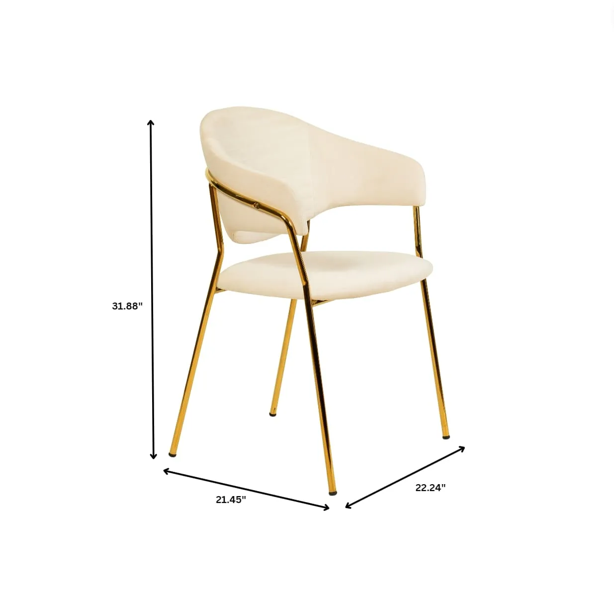Bella Modern Dining Chair Upholstered in Leather With Stainless Steel Base Set of 2