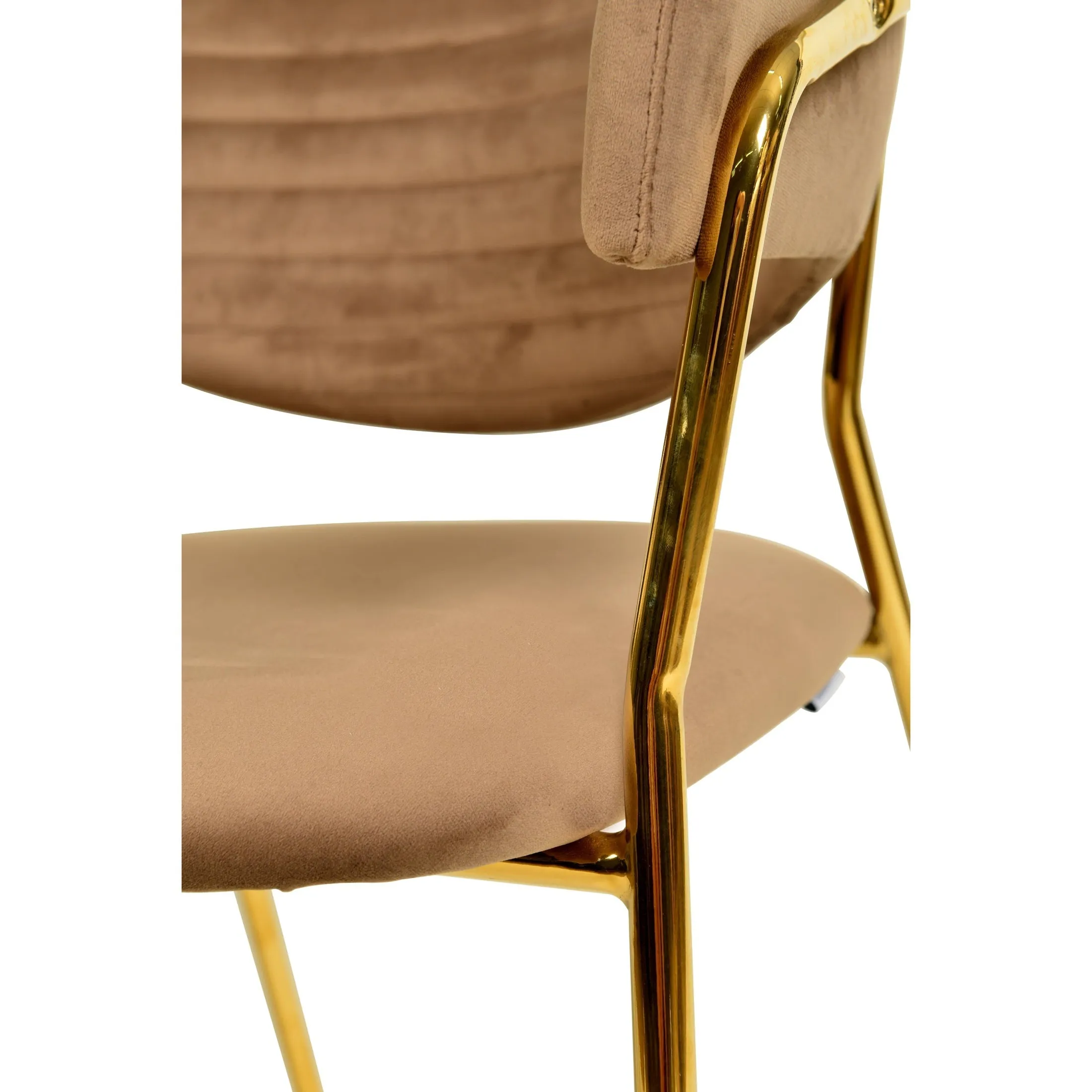 Bella Modern Dining Chair Upholstered in Leather With Stainless Steel Base Set of 2