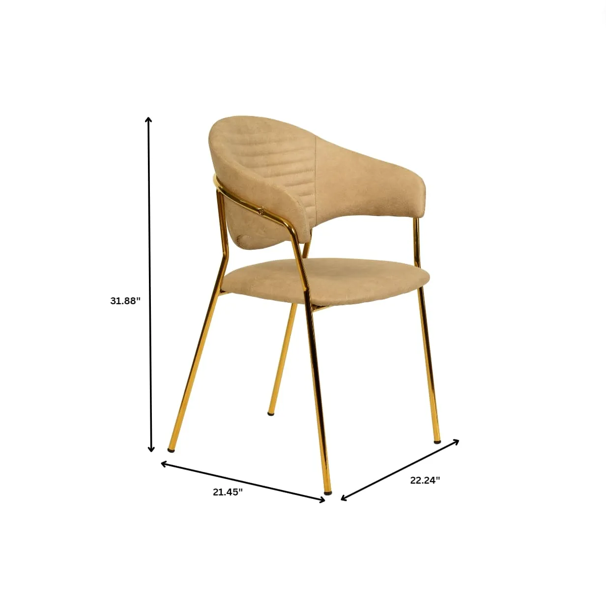 Bella Modern Dining Chair Upholstered in Leather With Stainless Steel Base Set of 2