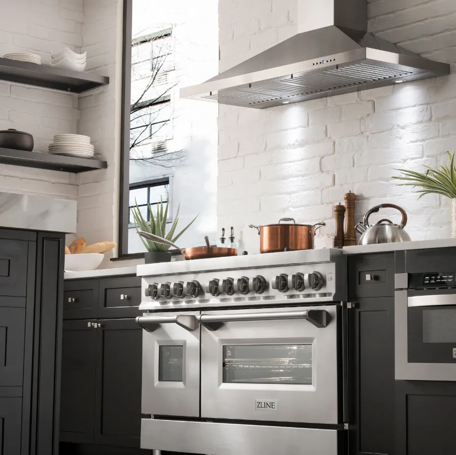 ZLINE 48" Professional Stainless Steel 6.0 CU.FT. 7 Gas Burner/Electric Oven Range (RA48)